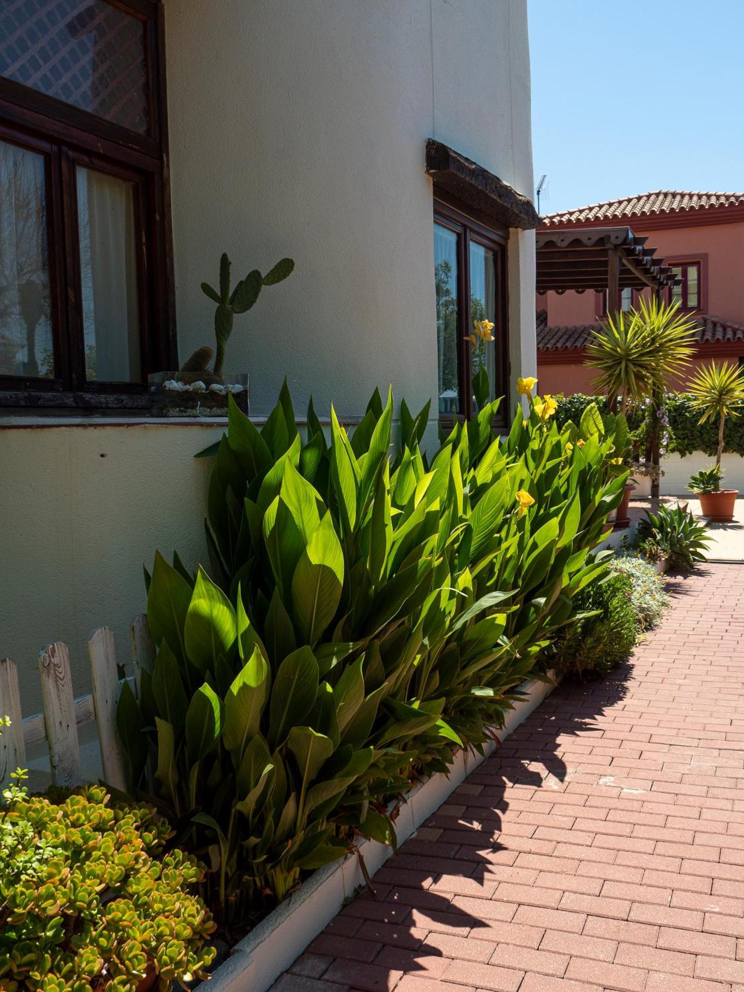 Villa Ibicenca Love Benalmadena Exterior photo